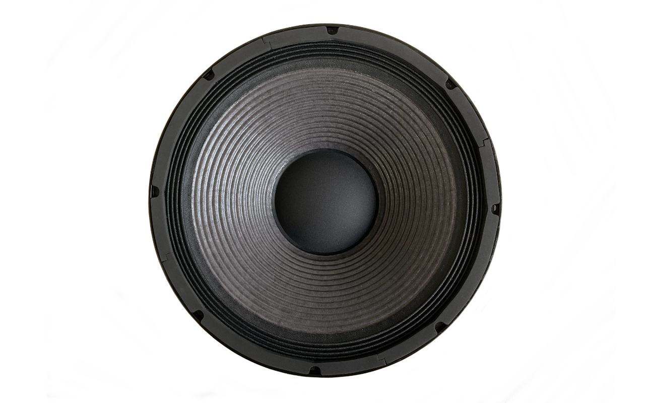 15 inch coaxial store speaker